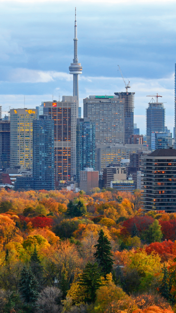 asesorate 2026 02 23t104310.596